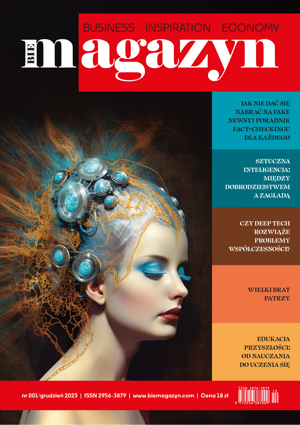 BIEmagazyn_01.jpg